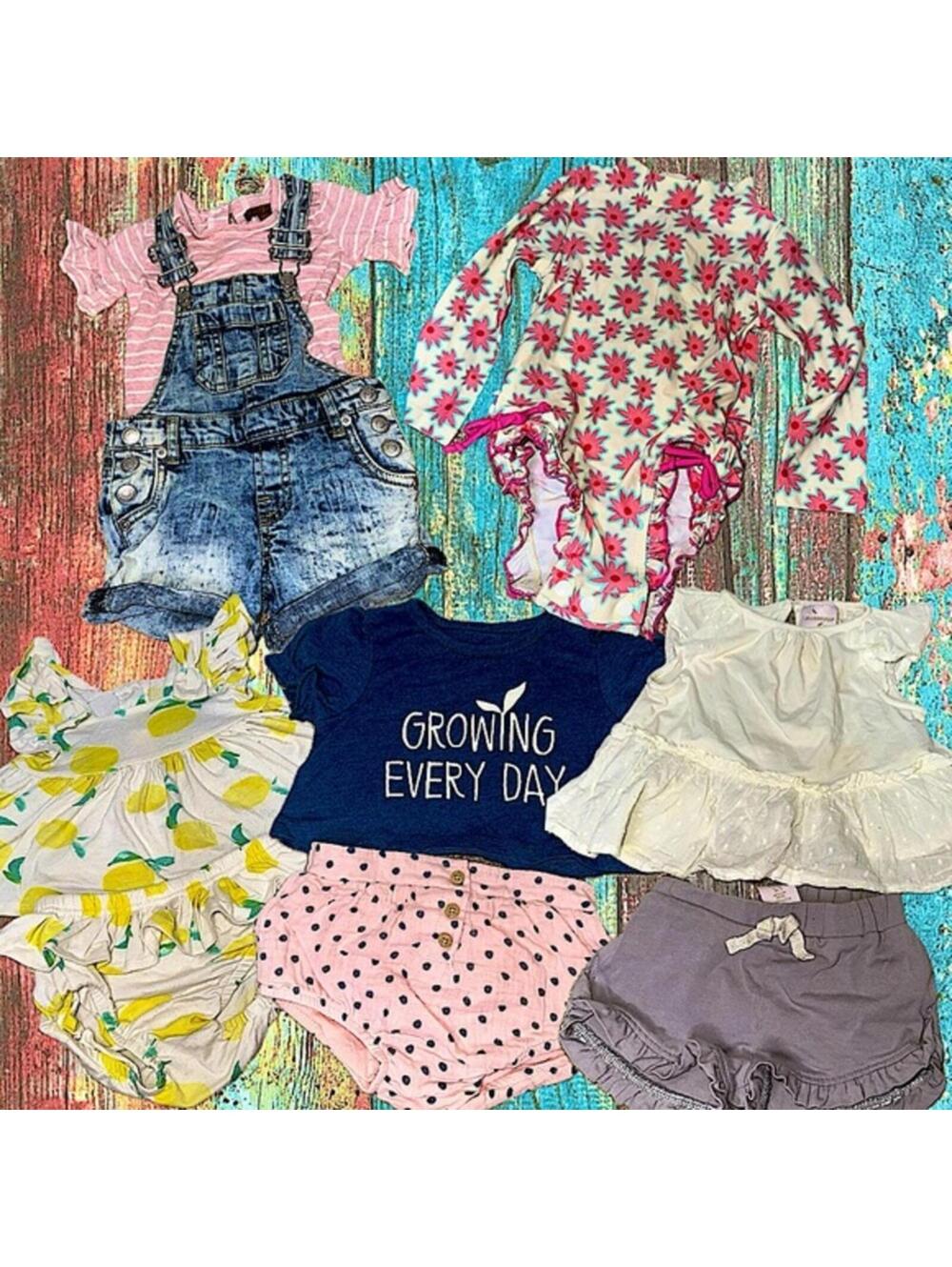 Size 12 month Baby Girl 5 Piece Bundle